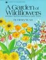 A garden of wildflowers 101 native species and how to grow them