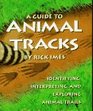 A Guide to Animal Tracks