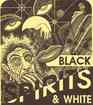 Black Spirits and White A Book of Ghost Stories