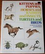 Kittens and Puppies Horses and Rabbits and Insects Turtles and Birds