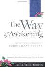 The Way of Awakening : A Commentary on Shantideva's Bodhicharyavatara