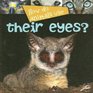 How Do Animals Use Their Eyes