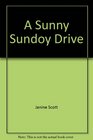 A Sunny Sundoy Drive