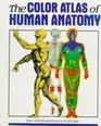 The Color Atlas of Human Anatomy