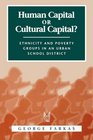 Human Capital or Cultural Capital Ethnicity and Poverty Groups in an Urban School District