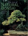 The Art of Natural Bonsai Replicating Nature's Beauty