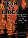 Year of the Fires The Story of the Great Fires of 1910