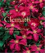 Clematis Inspiration Selection and Practical Gudance