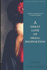 A Great Love of Small Proportion passion romance and art in Renaissance Spain