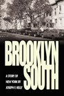Brooklyn South A Story of New York