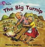 The Big Turnip Band 00/Lilac