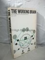 The Working Brain Introduction to Neuropsychology