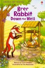 Brer Rabbit Down the Well (Usborne First Reading: Level 2)