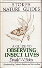 A Guide to Observing Insect Lives