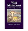 Wild Mushrooms How to Find Identify  Cook Them