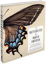 The Butterflies of North America Titian Peale's Lost Manuscript