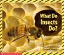 What Do Insects Do? (Science Emergent Readers)
