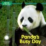 Panda's Busy Day (Let's Go To The Zoo!)