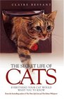 The Secret Life of Cats Everything Your Cat Would Want You to Know