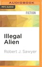 Illegal Alien