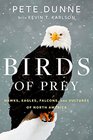 Birds of Prey Hawks Eagles Falcons and Vultures of North America