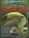The World's Most Beautiful Birds
