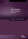 Civil Litigation Pretrial Case Development and Discovery