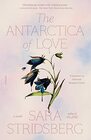 The Antarctica of Love: A Novel