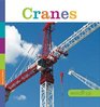 Seedlings Cranes