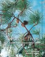 Forest Trees A Guide to the Eastern United States