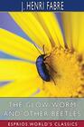 The GlowWorm and Other Beetles