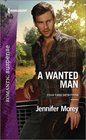 A Wanted Man (Cold Case Detectives, Bk 1)