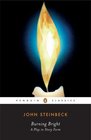 Burning Bright: A Play in Story Form (Penguin Classics)