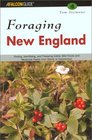 Foraging New England: Finding, Identifying, and Preparing Edible Wild Foods and Medicinal Plants from Maine to Connecticut