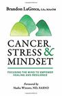 Cancer Stress  Mindset Focusing the Mind to Empower Healing and Resilience