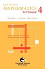 Gattegno Mathematics Textbook IV