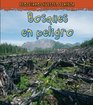 Bosques en peligro (Proteger Nuestro Planeta) (Spanish Edition)