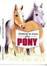 Getting to Know Your Pony