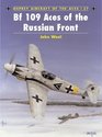 Bf 109 Aces of the Russian Front