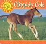 A Day in the Life of Clippidy Colt