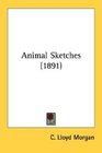 Animal Sketches