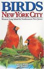 Birds of New York City Western Long Island  Northeastern New Jersey