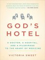 God's Hotel A Doctor a Hospital and a Pilgrimage to the Heart of Medicine
