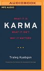 Karma What It Is What It Isn't Why It Matters