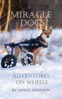 Miracle Dogs Adventures on Wheels