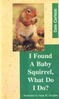 I Found a Baby Squirrel What Do I Do