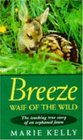Breeze  Waif of the Wild
