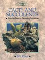 Cacti and Succulents StepByStep to Growing Success