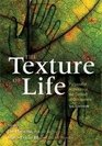 The Texture of Life Purposeful Activities in the Context of Occupation