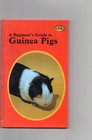 Beginner's Guide to Guinea Pigs